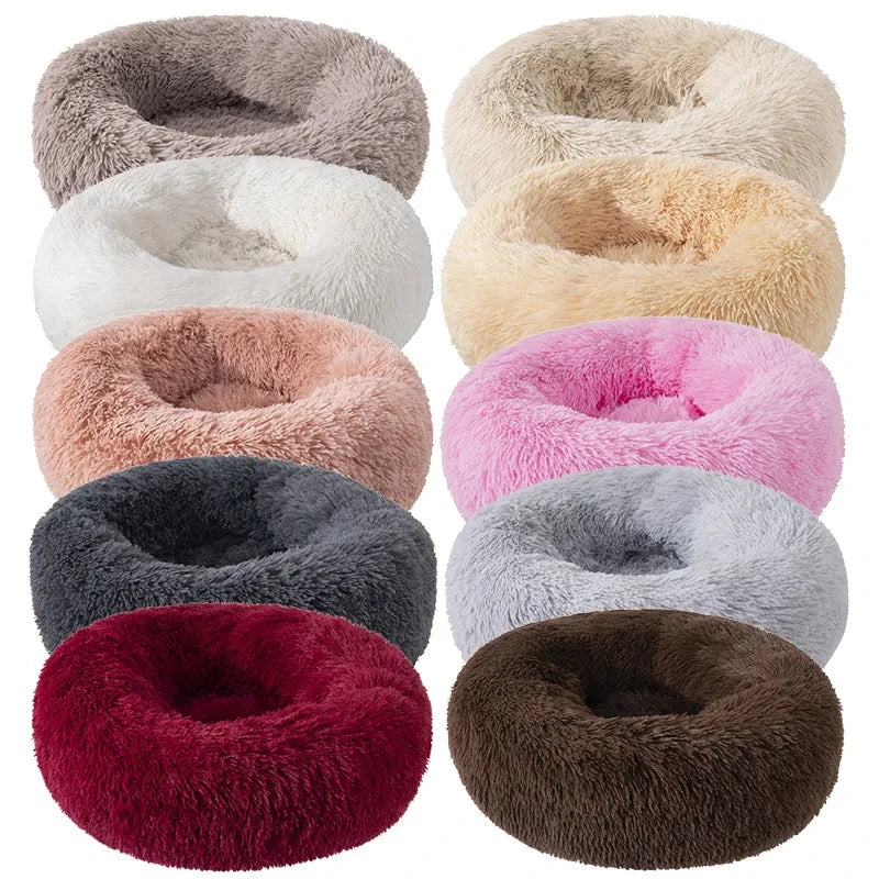 Cat curled up in the CloudNest donut bed