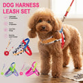 SaddleStyle small dog harness and lead set