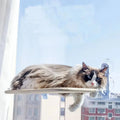 SunnySpot cat window hammock with suction cups