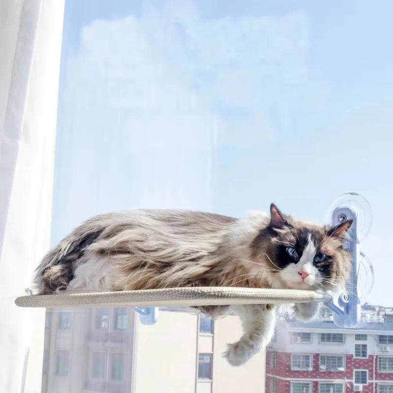 SunnySpot cat window hammock with suction cups