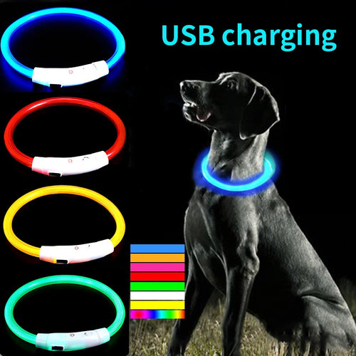 FibreGlow fibre optic LED dog safety collar