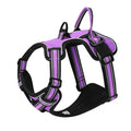 WalkEasy no-pull dog harness and lead set