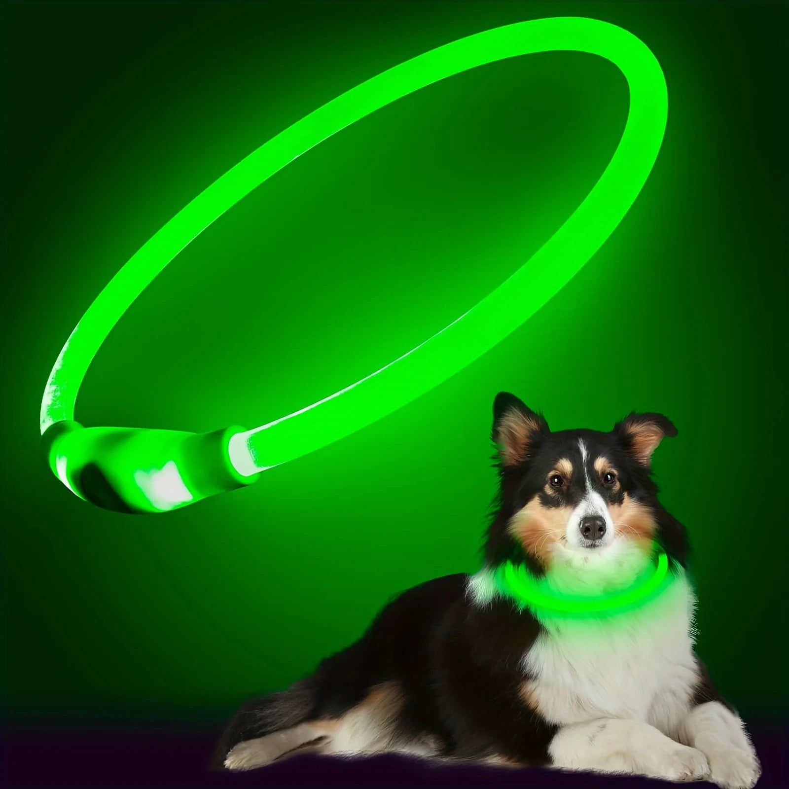GlowWalk collar USB charging point