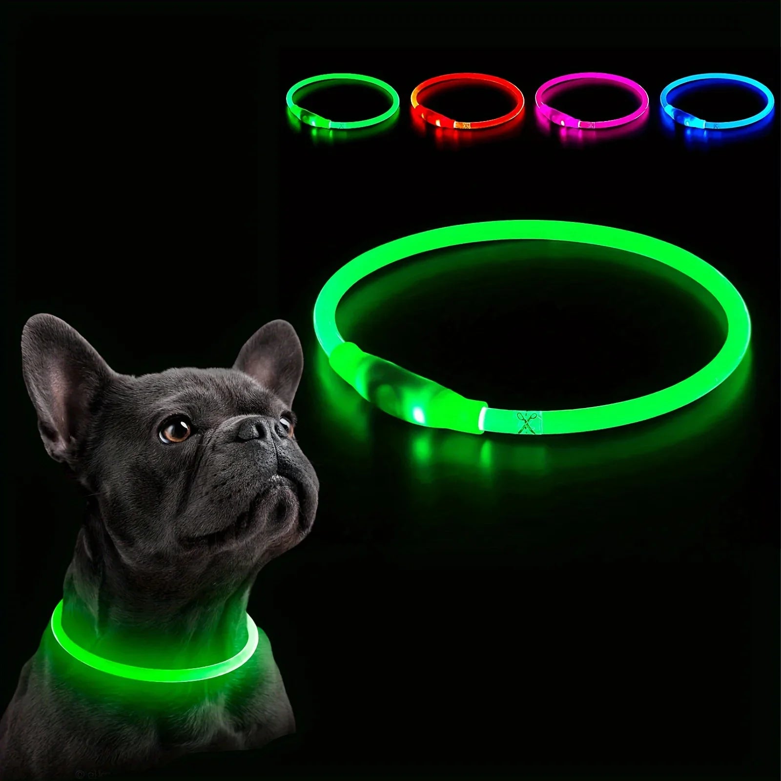 Dog wearing the FibreGlow collar on a night walk