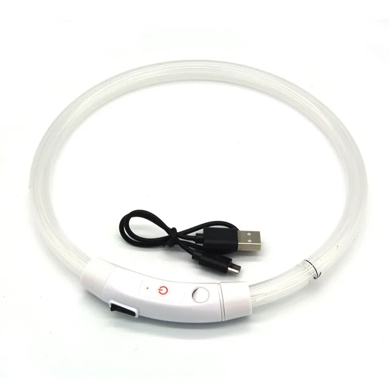 FibreGlow collar USB rechargeable clasp