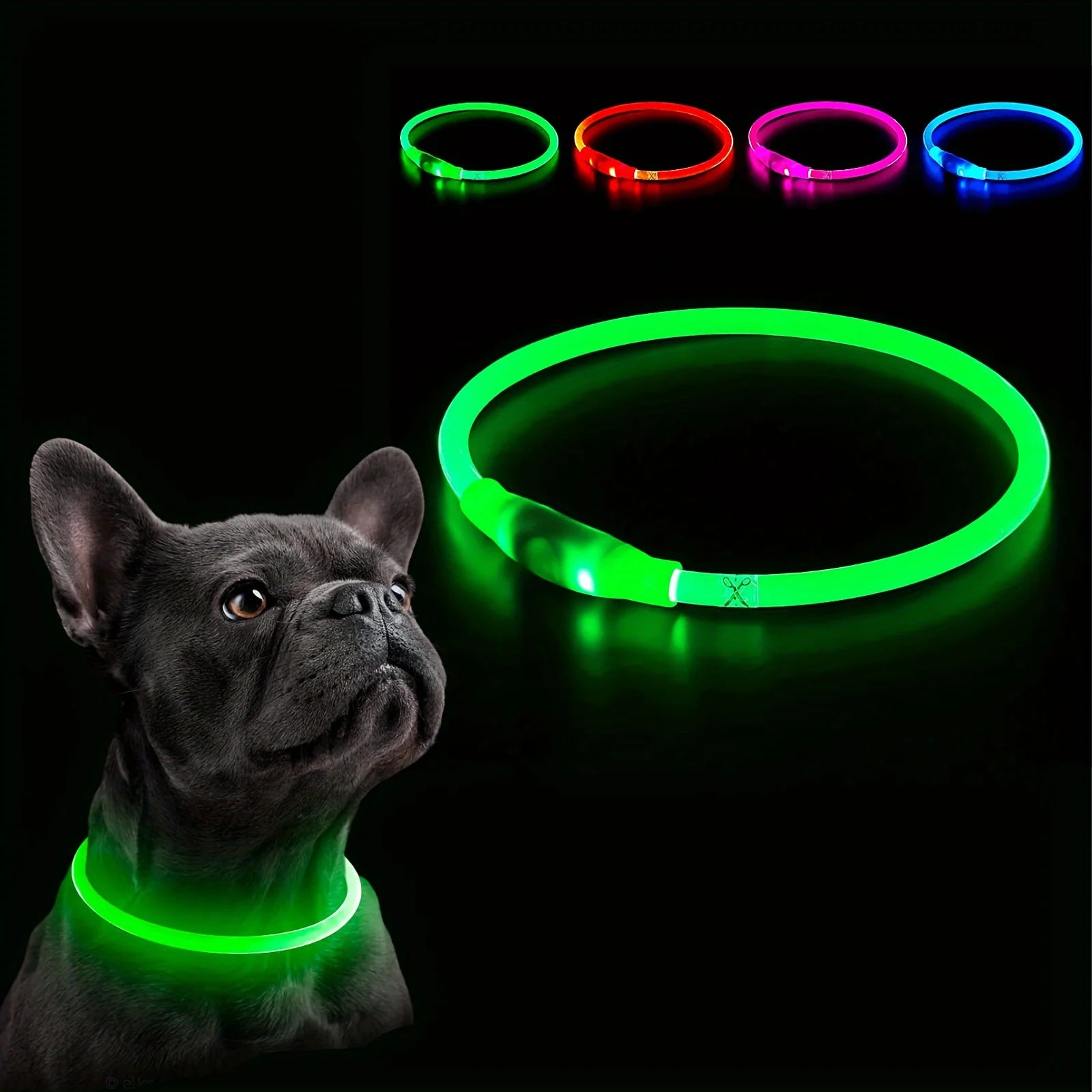 Dog wearing the GlowWalk LED collar at night