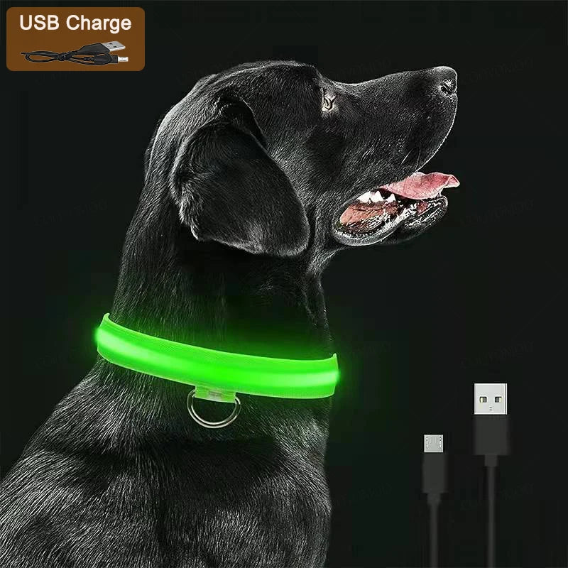 GlowWalk rechargeable LED light-up dog collar